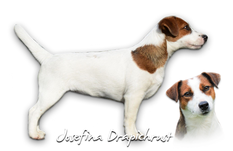 Josefina Drapichrust